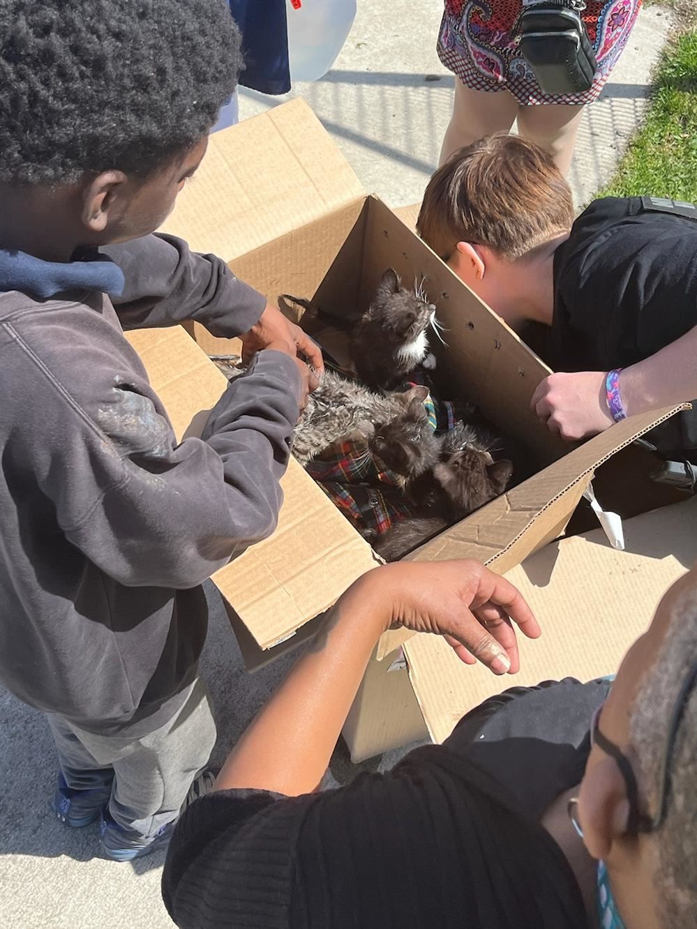 students holding a box with kittens inside