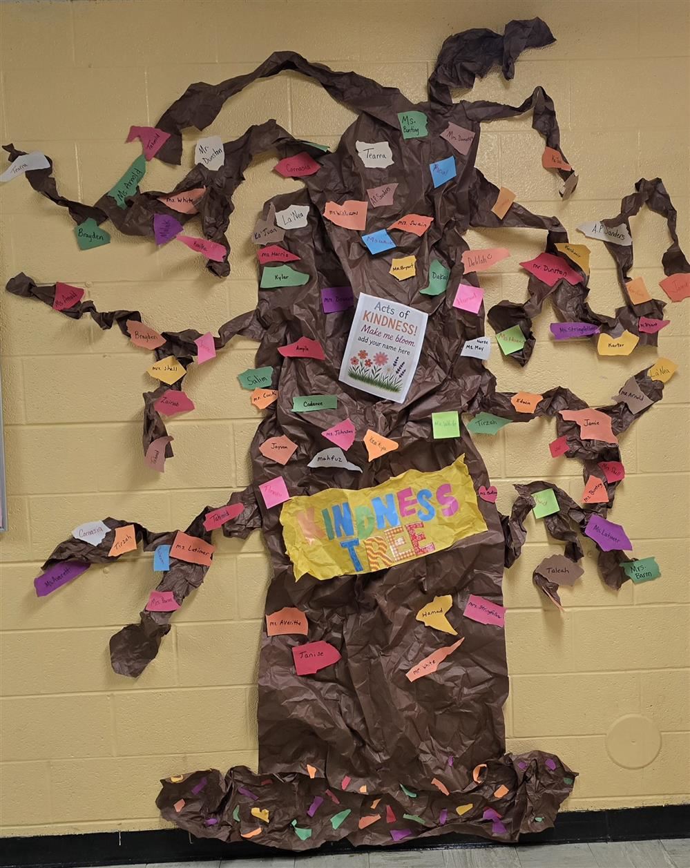  Photo of The Kindness Tree 2025