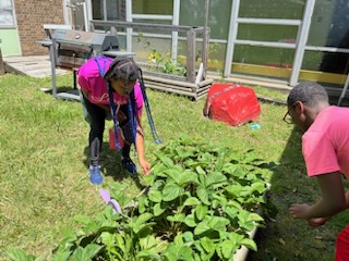 Two Students working in the garden