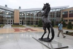  Mustang in court yard