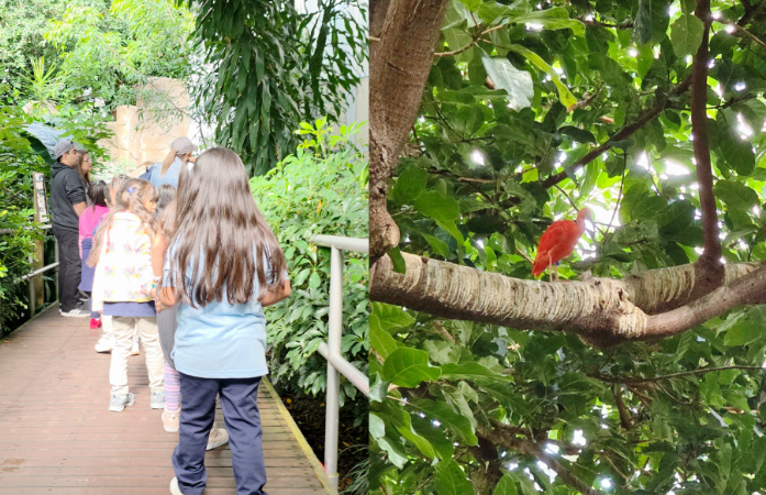  Students walking through the bird exhibit at the zoo