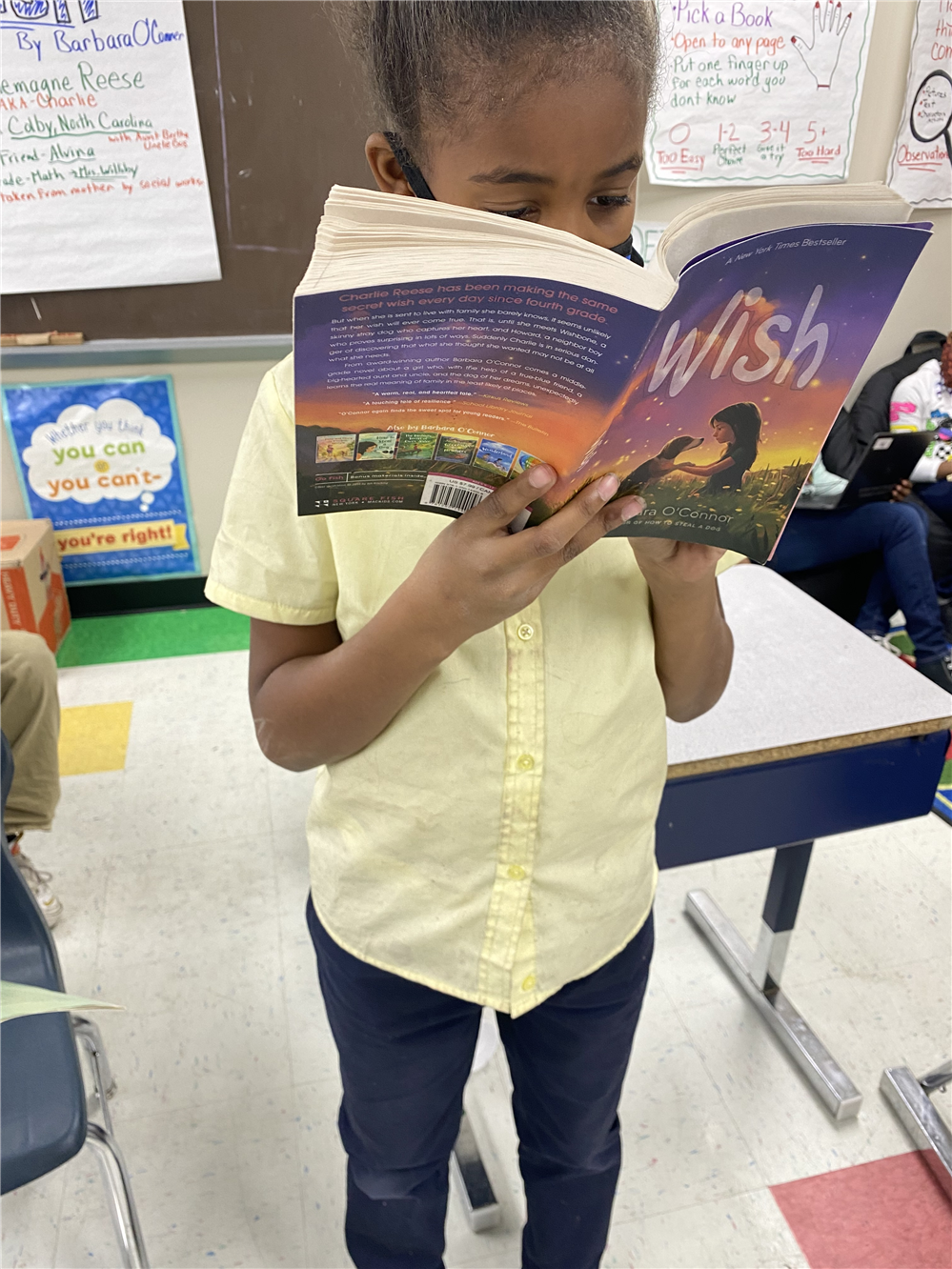  A student reading Wish