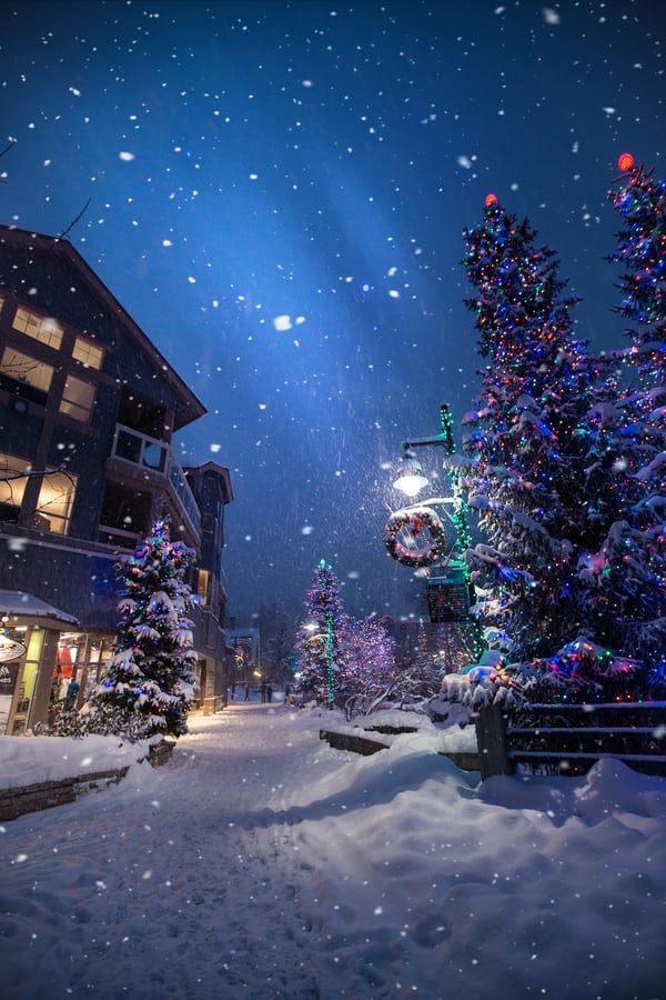  Outdoor holiday snow scene