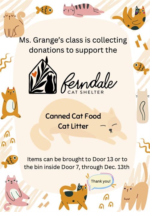 Cat Shelter Flyer