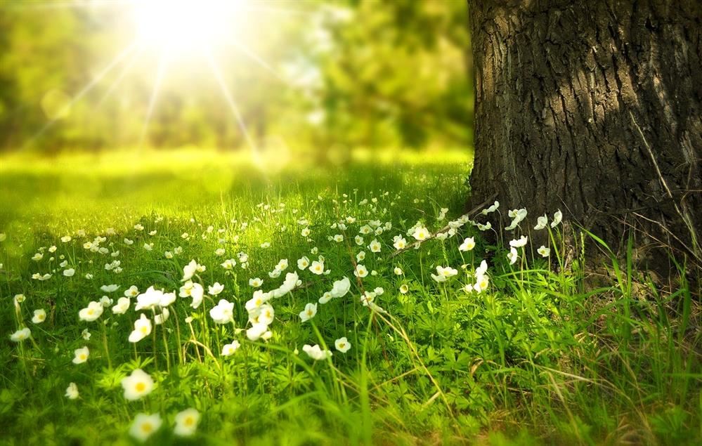  Career Counselor Corner – Spring 2023 Newsletter