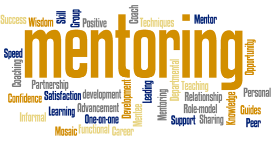  Mentoring