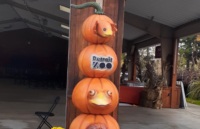  Pumpkins made up