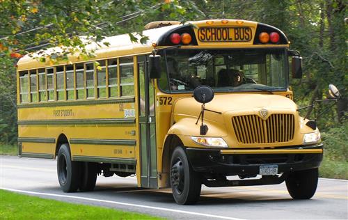 Bus 