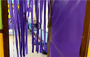 Color day activities.
