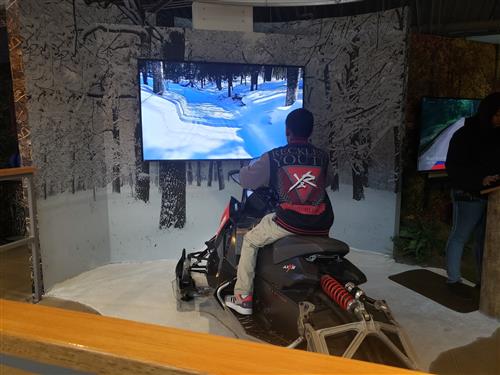 snow mobile simulator   