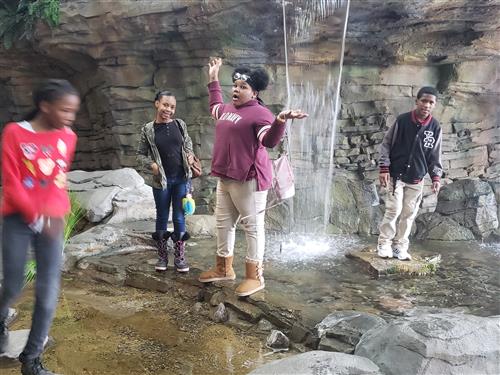 students walking on rocks under a waterfall  