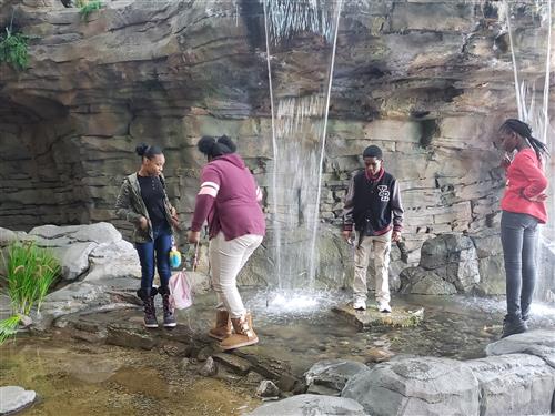 exploring waterfalls 