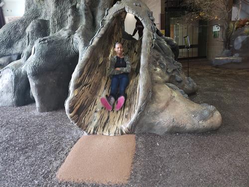 sliding down a big tree 