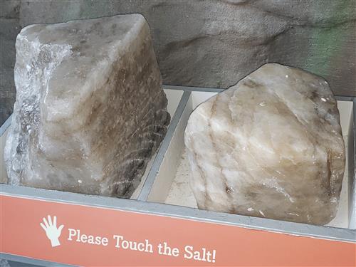 Michigan salt 