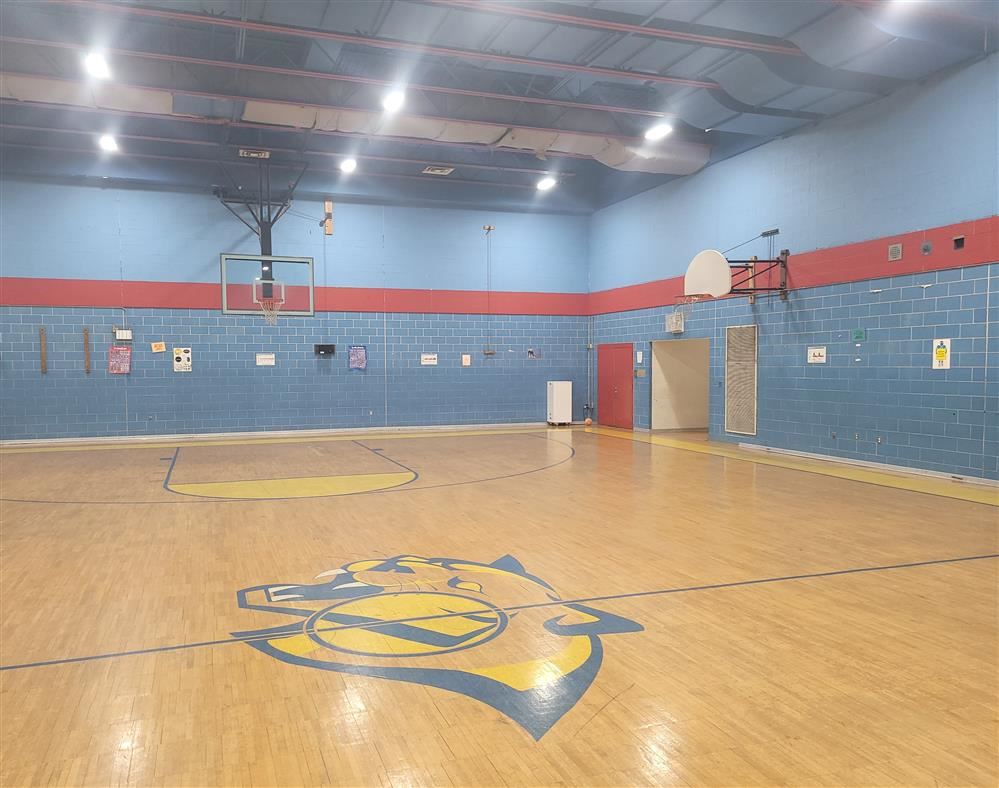  Cartsens gym