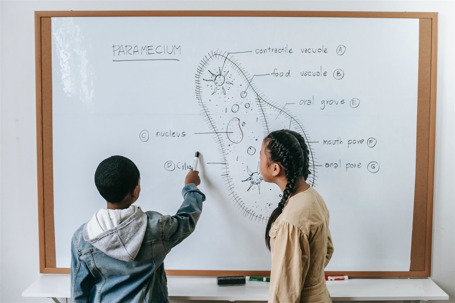 Smart Students