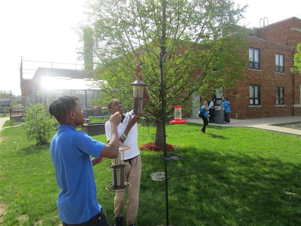 Two boys hang feeds on post in front of a tree 