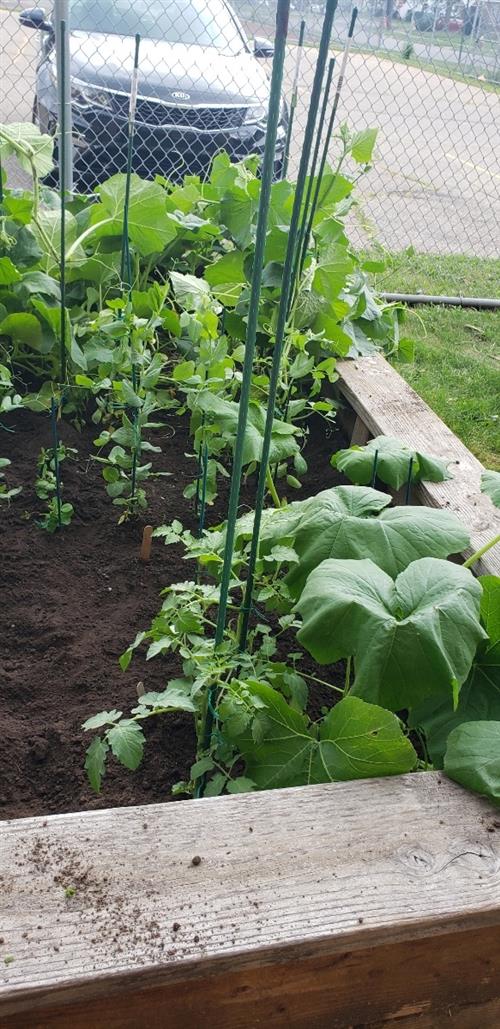 Brewers Garden Brewers Garden