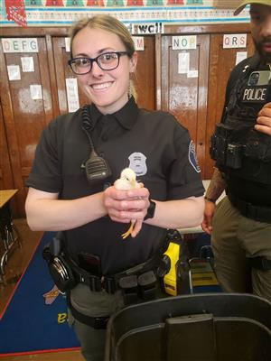 Another officer holds baby chick