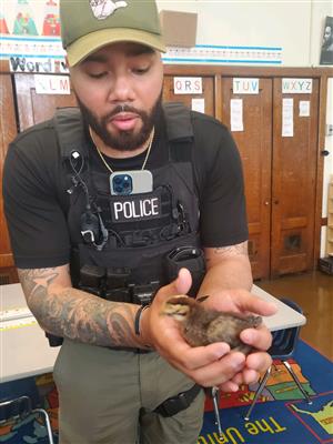 Officer Hold Baby Chick