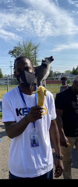 Mr. Henry feeds animal