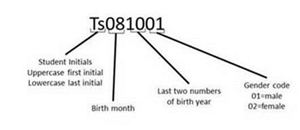 Username Visual Representation