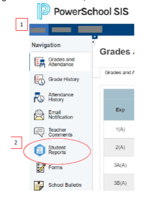 student report