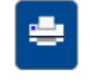 print icon