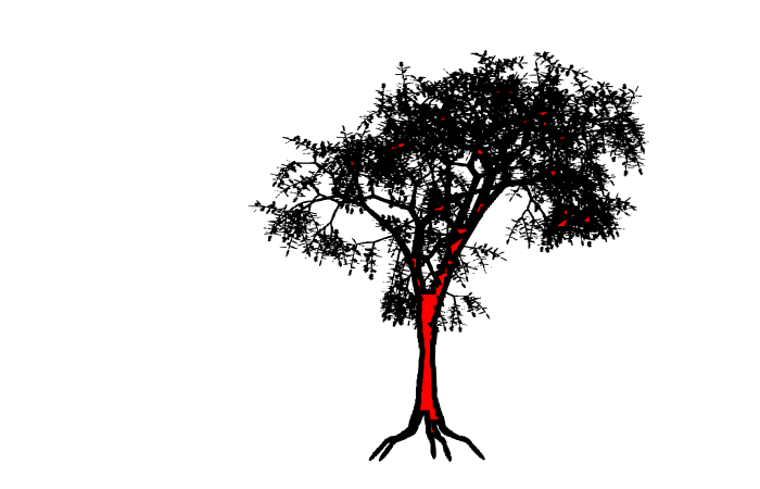  Red Tree