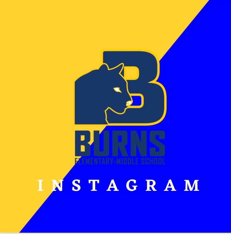  Burns Instagram logo