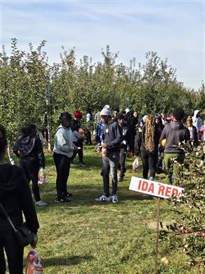 cider mill