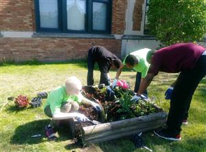 Students planting flowers in a flower bed