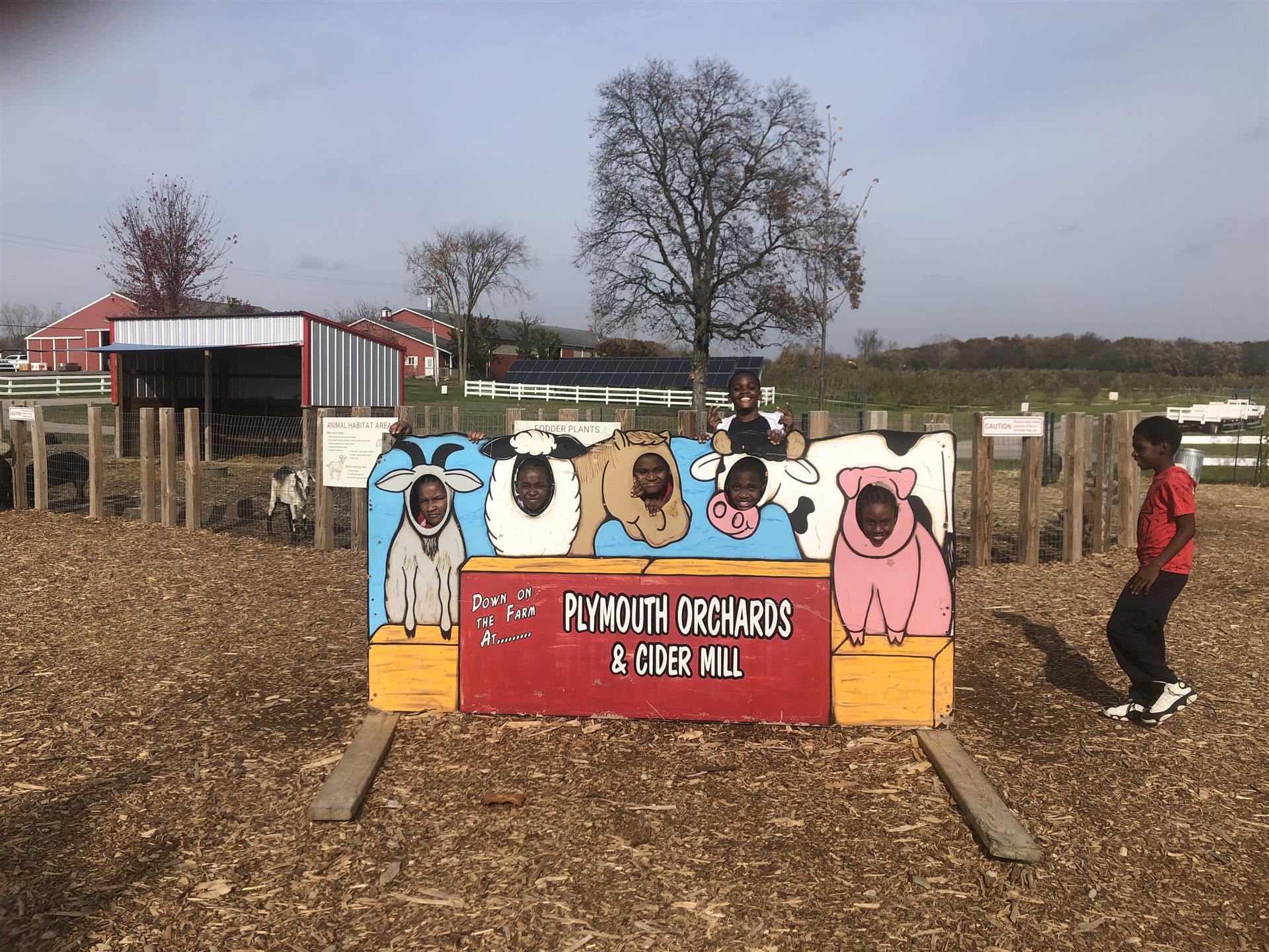 apple orchard cutout