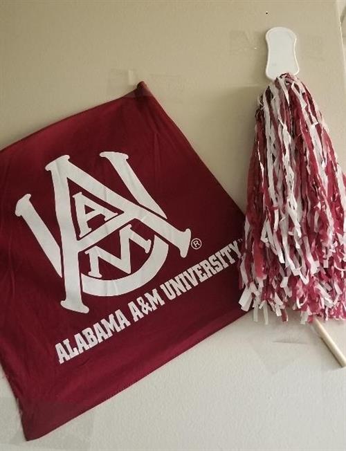 A&M Door