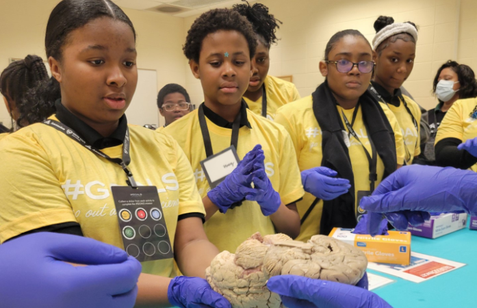  Student holding a brain