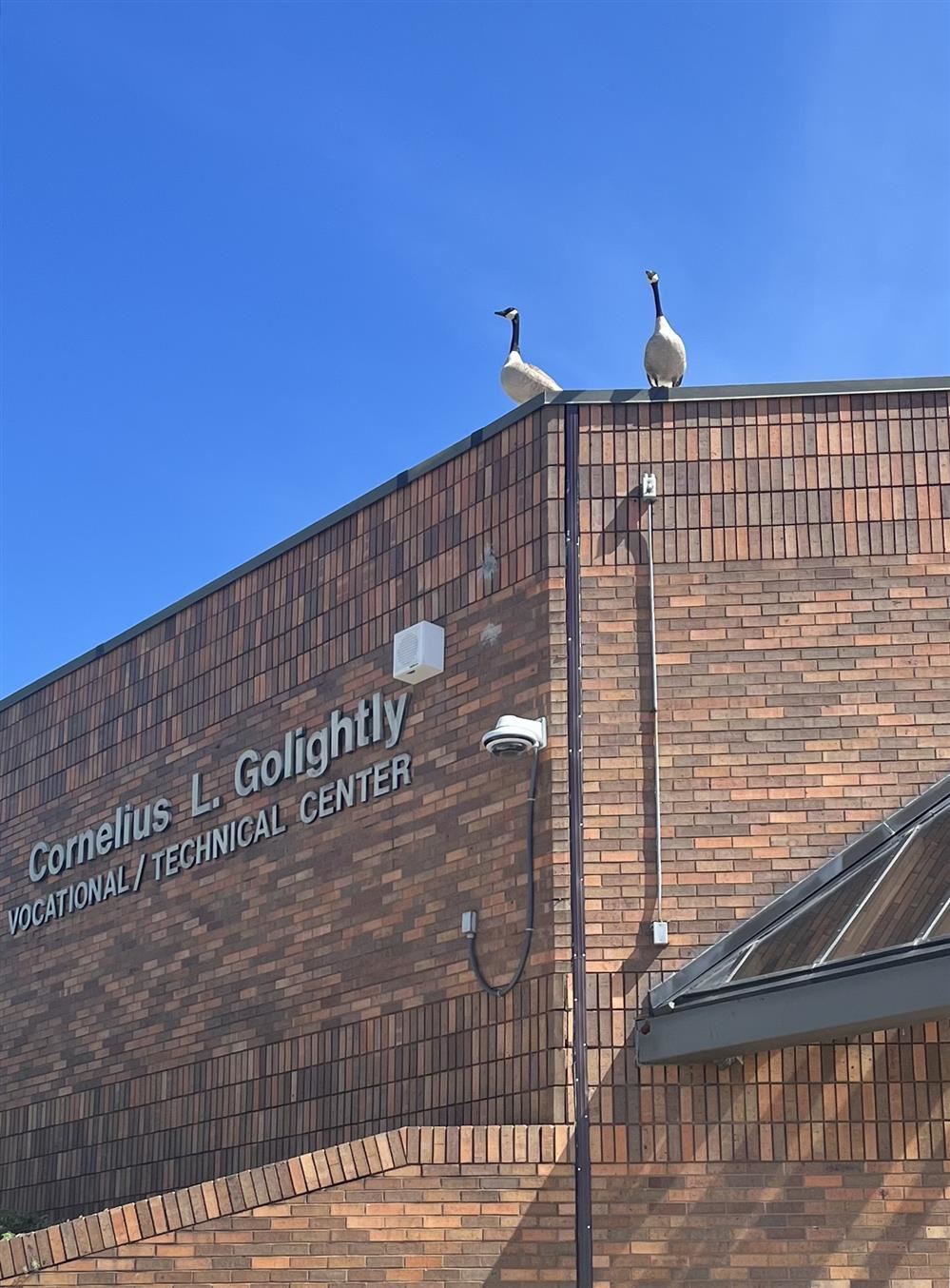  Spring Comes to Golightly CTC