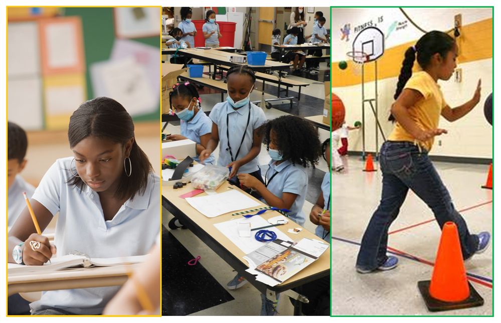  Academics, Electives & Specials