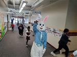 bunny at the school