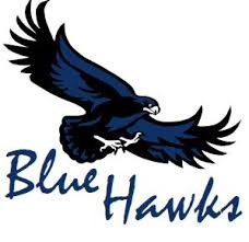  blue hawk