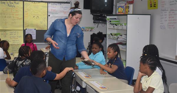 Students look on as one student touches the feathers of a bird held by the guide.