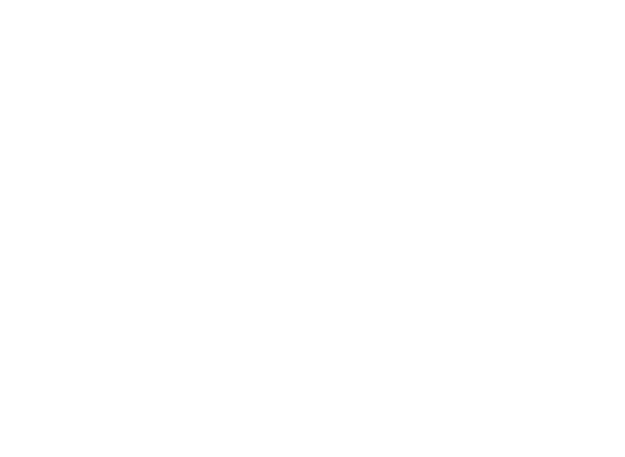 Pulaski Elementary-Middle School logo